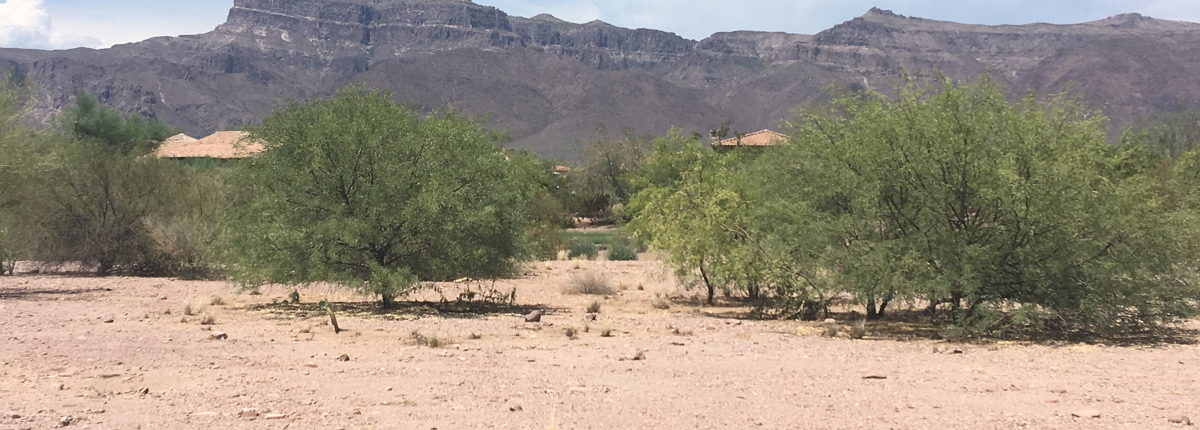 GOLF COURSE LOT, gold canyon, az