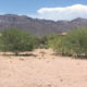 GOLF COURSE LOT, gold canyon, az